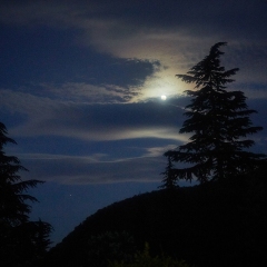 1906Russia3_1304-copy